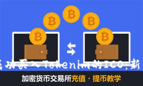 如何成功买入Tokenim的ICO：新手指南