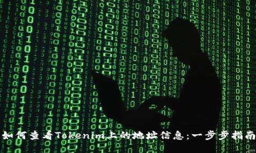 如何查看Tokenim上的地址信息：一步步指南