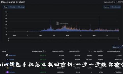 Tokenim钱包手机怎么找回密钥：一步一步教你安全找回