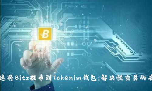 如何快速将Bitz提币到Tokenim钱包：解决慢交易的有效方法