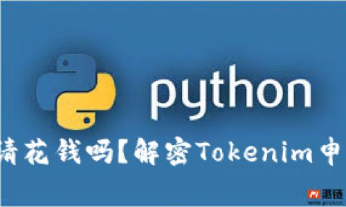 ##  tokenim申请花钱吗？解密Tokenim申请流程与费用之谜
