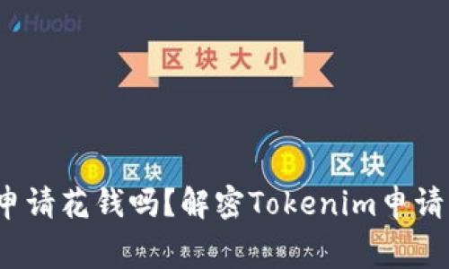 ##  tokenim申请花钱吗？解密Tokenim申请流程与费用之谜