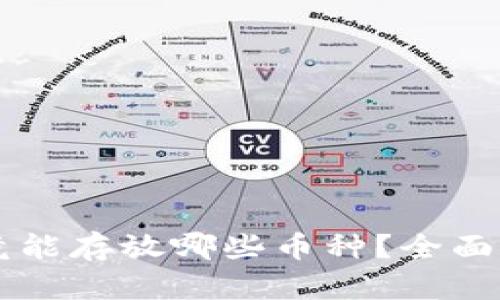 以太坊钱包究竟能存放哪些币种？全面解读与实用指南
