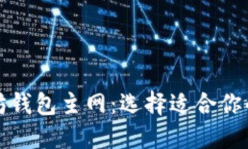 解密以太坊钱包主网：选择适合你的网络之旅