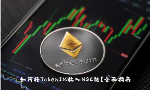 如何将TokenIM放入NSC链？全面指南