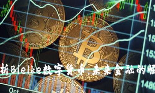 深入剖析Bielke数字货币：未来金融的崛起之路