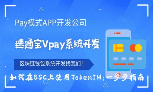 如何在BSC上使用TokenIM：一步步指南