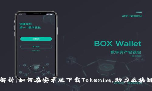 全面解析：如何在安卓版下载Tokenim，助力区块链投资