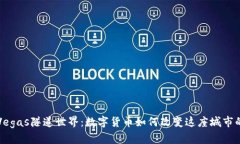 揭开Vegas隧道世界：数字货