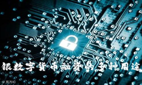 探索中银数字货币融资的多种用途与前景