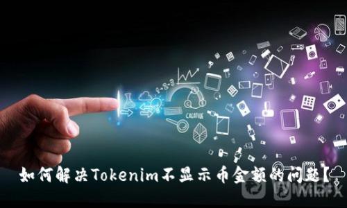 如何解决Tokenim不显示币金额的问题？
