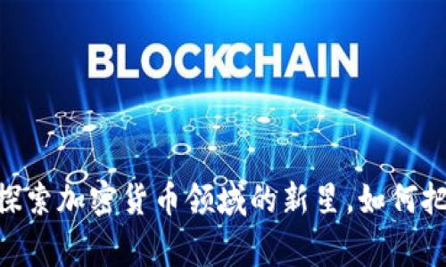 Tokenim Doge：探索加密货币领域的新星，如何把握这一财富机遇