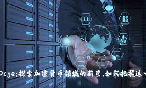 Tokenim Doge：探索加密货币领域的新星，如何把握这一财富机遇