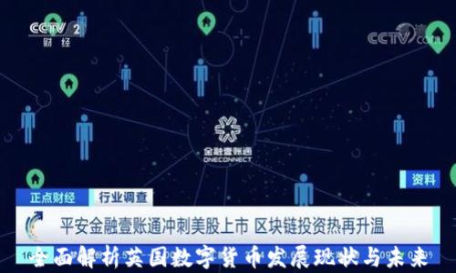 
全面解析英国数字货币发展现状与未来