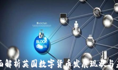 
全面解析英国数字货币发展现状与未来