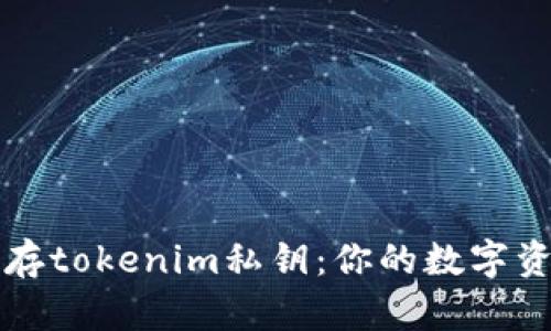 如何安全保存tokenim私钥：你的数字资产保护指南