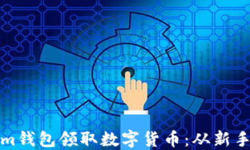 
如何使用Tokenim钱包领取数字货币：从新手到高手的全攻略