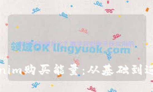 如何通过Tokenim购买能量：从基础到进阶的全面指南