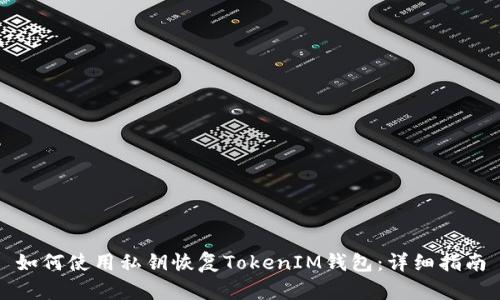 如何使用私钥恢复TokenIM钱包：详细指南