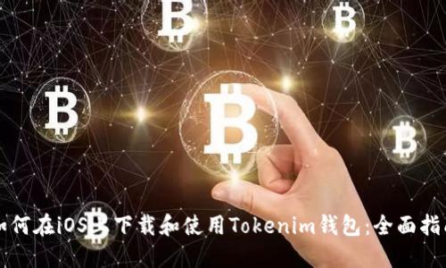 如何在iOS上下载和使用Tokenim钱包：全面指南