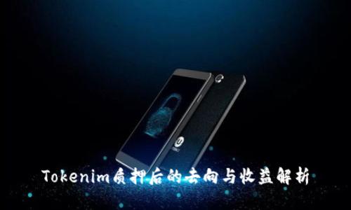 Tokenim质押后的去向与收益解析