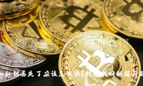 Tokenim私钥丢失了应该怎么办？快速找回秘籍与操作指南