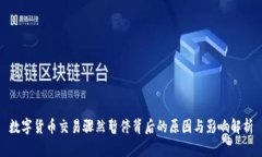 数字货币交易骤然暂停背