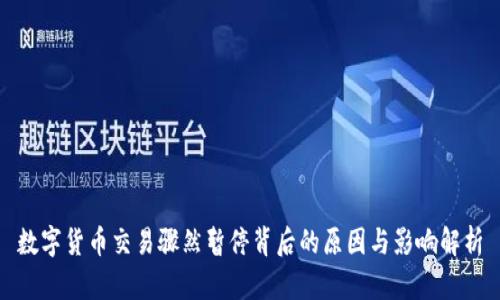 数字货币交易骤然暂停背后的原因与影响解析