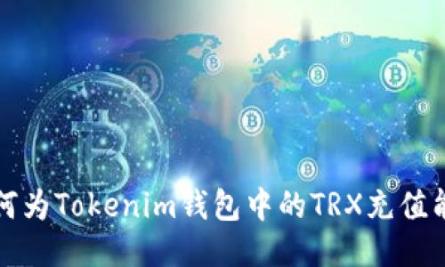 如何为Tokenim钱包中的TRX充值能量