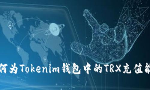 如何为Tokenim钱包中的TRX充值能量