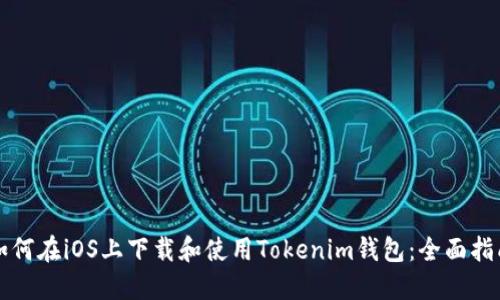 如何在iOS上下载和使用Tokenim钱包：全面指南