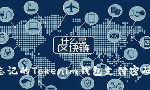 如何找回忘记的Tokenim钱包支付密码：全面指南