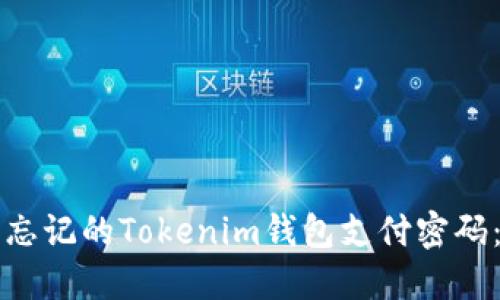 如何找回忘记的Tokenim钱包支付密码：全面指南