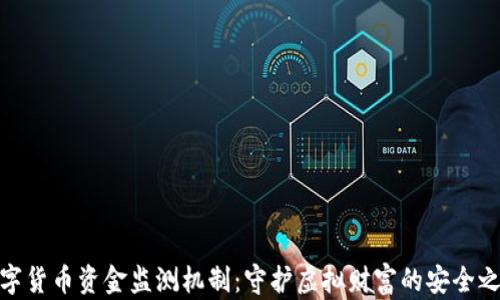 
数字货币资金监测机制：守护虚拟财富的安全之道