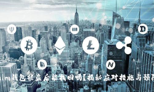 Tokenim钱包被盗后能找回吗？揭秘应对措施与预防策略