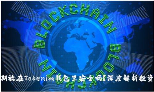 把币长期放在Tokenim钱包里安全吗？深度解析投资安全性