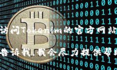 关于Tokenim的手续费问题，