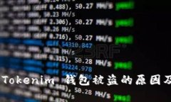 深入解析：Tokenim 钱包被盗