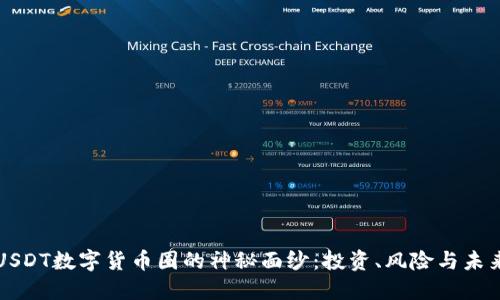 揭开USDT数字货币圈的神秘面纱：投资、风险与未来展望