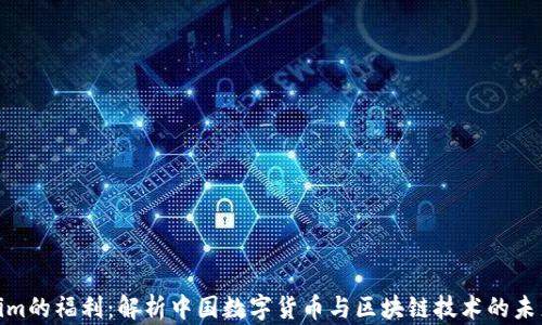 
Tokenim的福利：解析中国数字货币与区块链技术的未来趋势