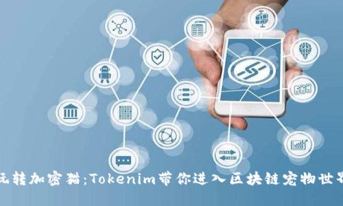 玩转加密猫：Tokenim带你进入区块链宠物世界
