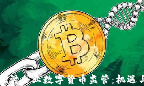 
深入探讨企业数字货币监管：机遇与挑战