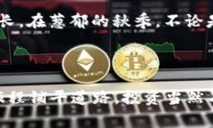 IM硬件钱包通常指的是一种