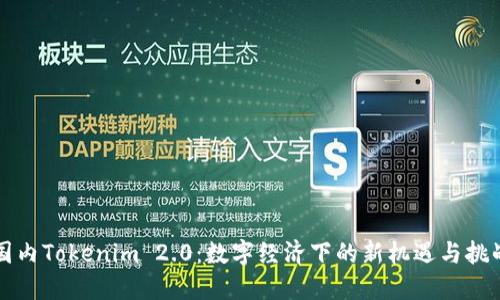 国内Tokenim 2.0：数字经济下的新机遇与挑战