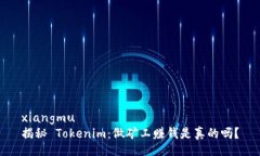 xiangmu揭秘 Tokenim：做矿工