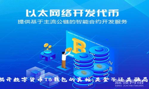 揭开数字货币TB钱包的真相：是金子还是骗局？