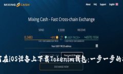 如何在iOS设备上下载Toke