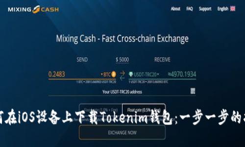 如何在iOS设备上下载Tokenim钱包：一步一步的指南