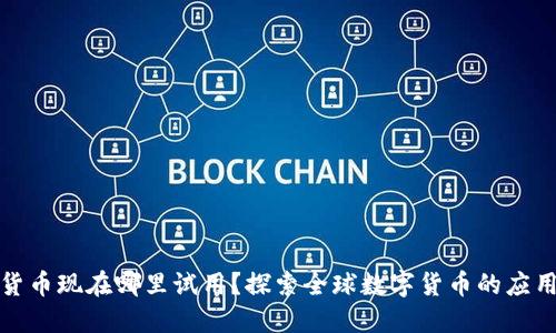 数字货币现在哪里试用？探索全球数字货币的应用场景