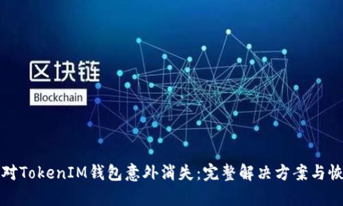 如何应对TokenIM钱包意外消失：完整解决方案与恢复方法